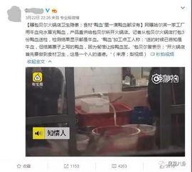 黄磊爆料蟑螂视频大全,惊悚瞬间大盘点  第1张